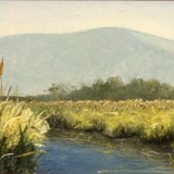 Manitou Marsh, Early Summer Haze, 1992