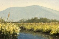 Manitou Marsh, Early Summer Haze, 1992